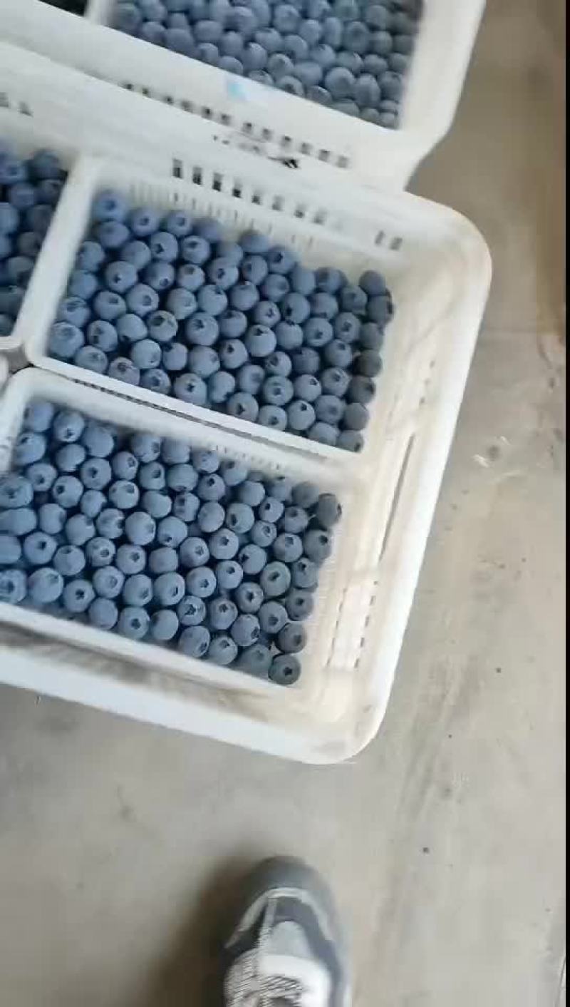 L25优瑞卡云雀F6都有货