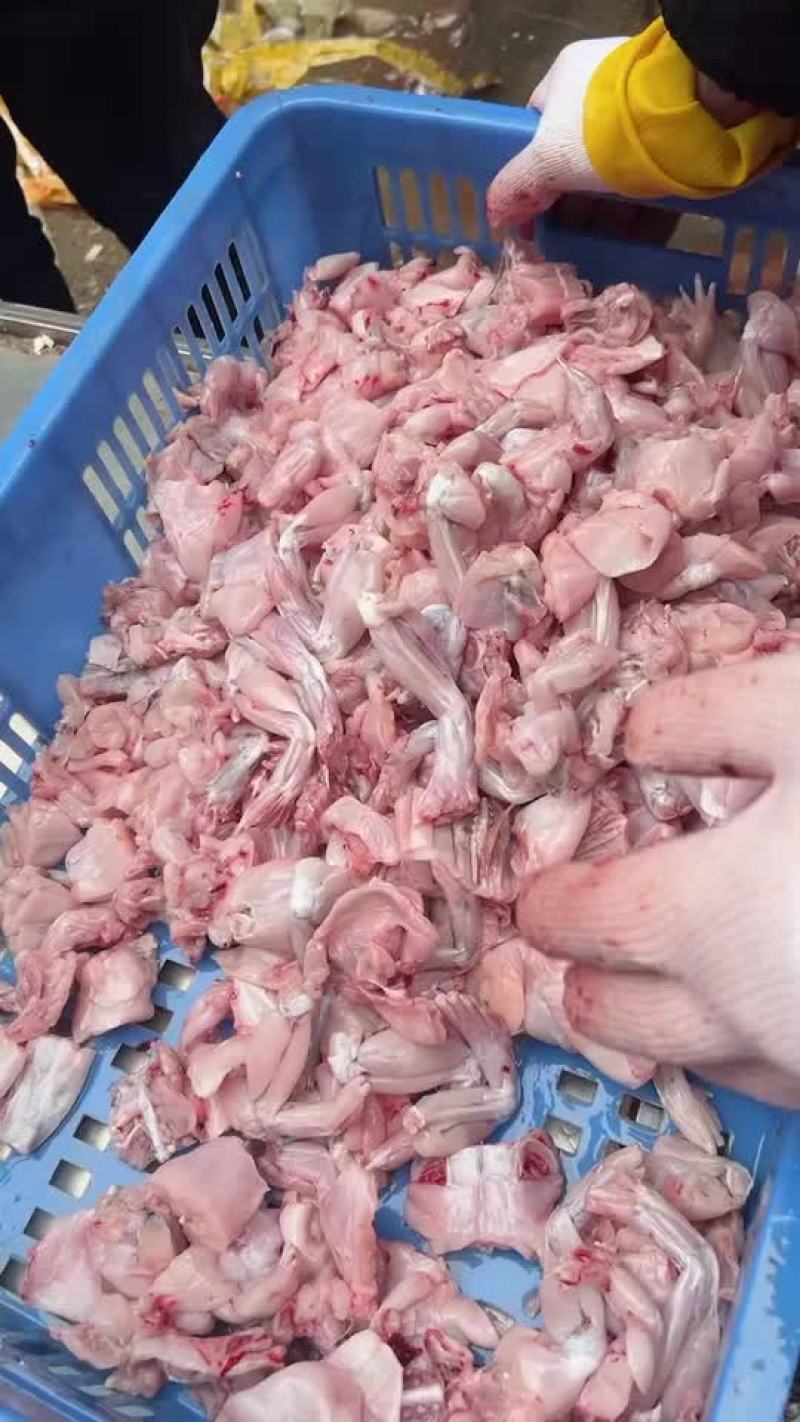 牛蛙批发。牛蛙加工