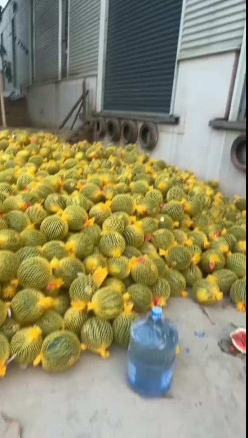 云南陆地甜王精品美都