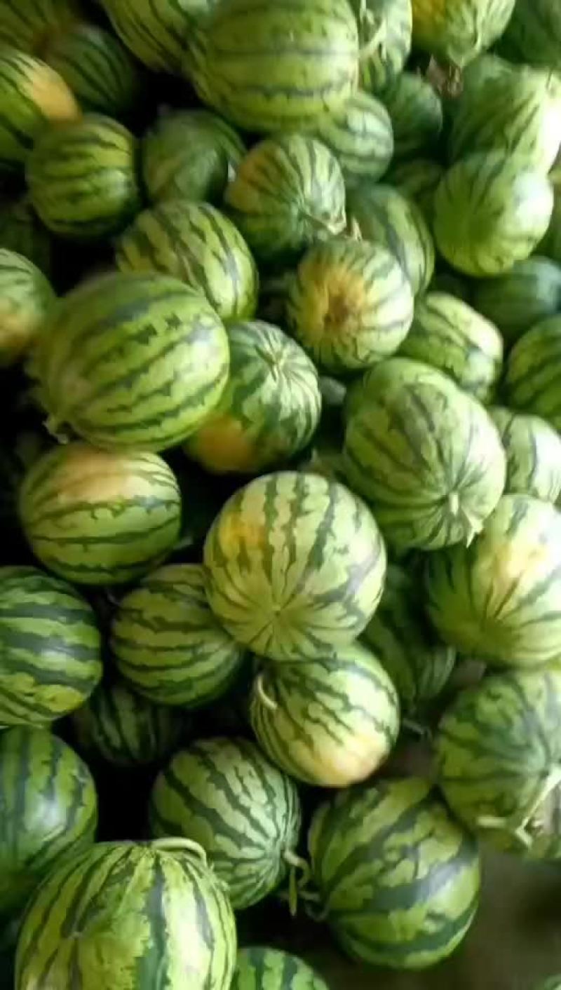 云南陆地甜王精品美都