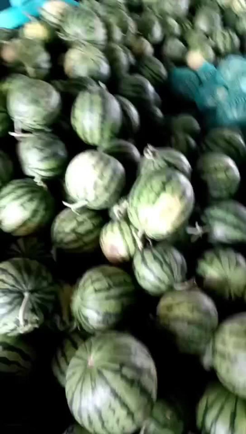 云南陆地甜王精品美都