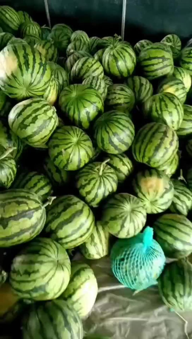云南陆地甜王精品美都