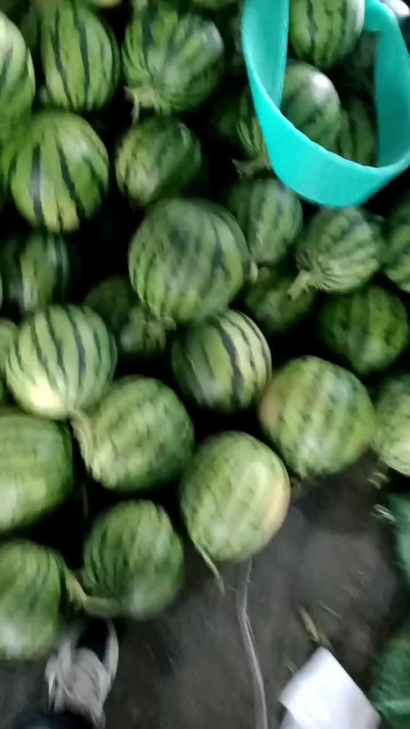 云南陆地甜王精品美都