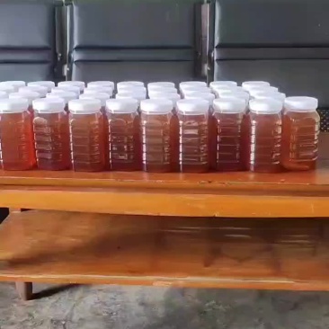 正宗土蜂蜜...有需要的联系，包质量包售后...