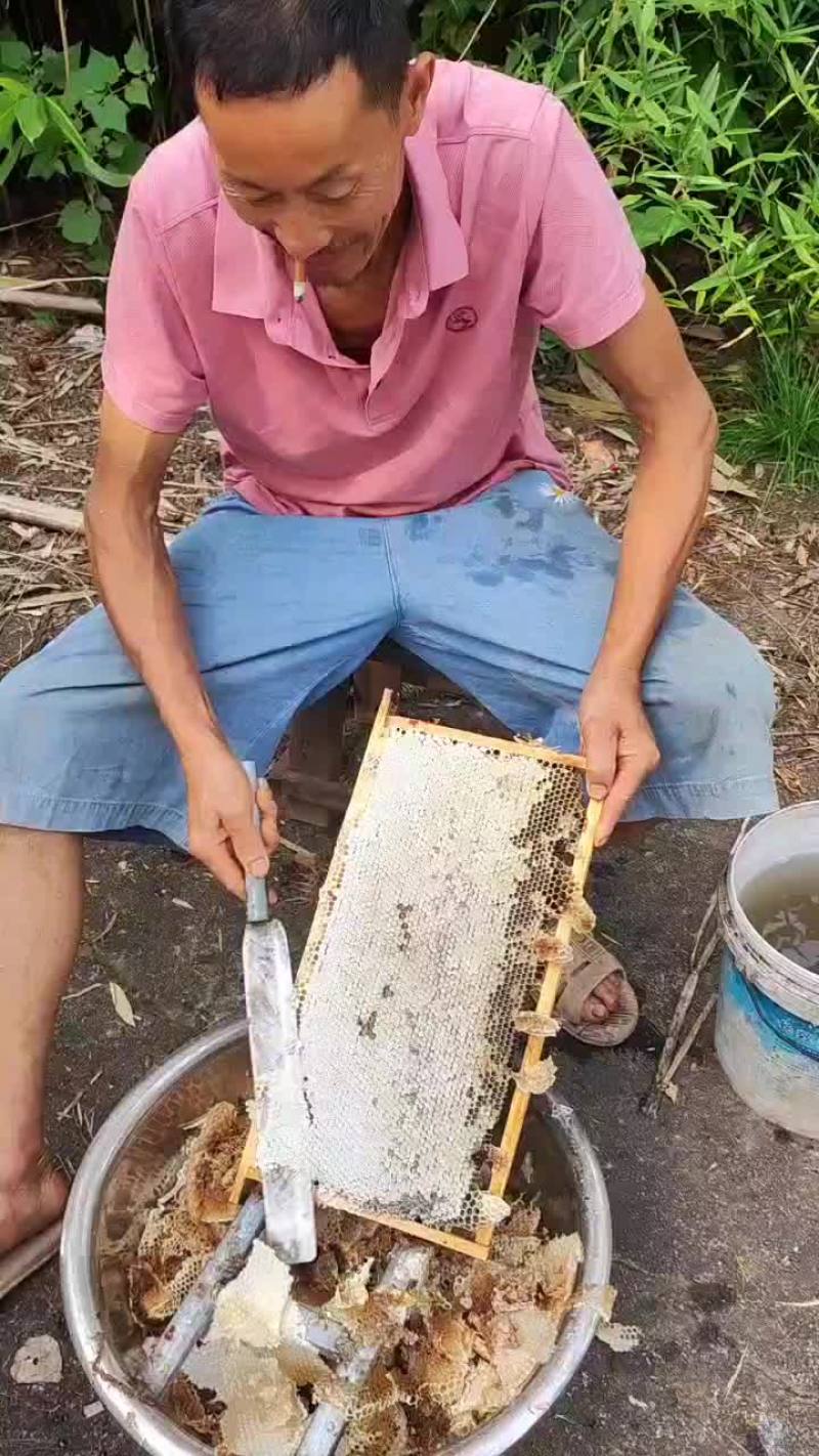正宗土蜂蜜...有需要的联系，包质量包售后...