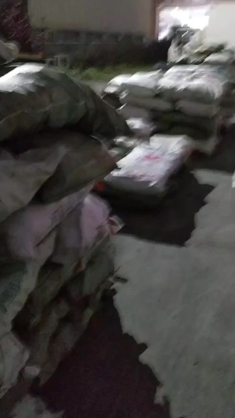 广西黑皮黄皮甘蔗种