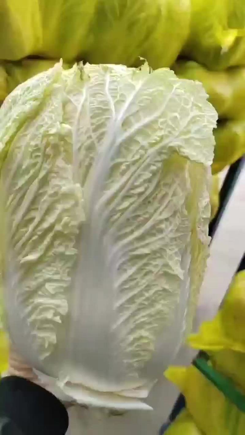冷库黄心菜