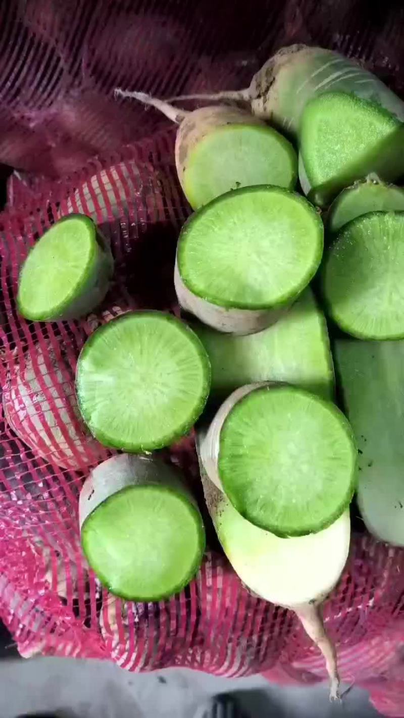 水果萝卜