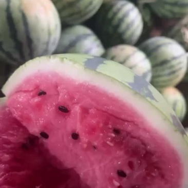 麒麟西瓜