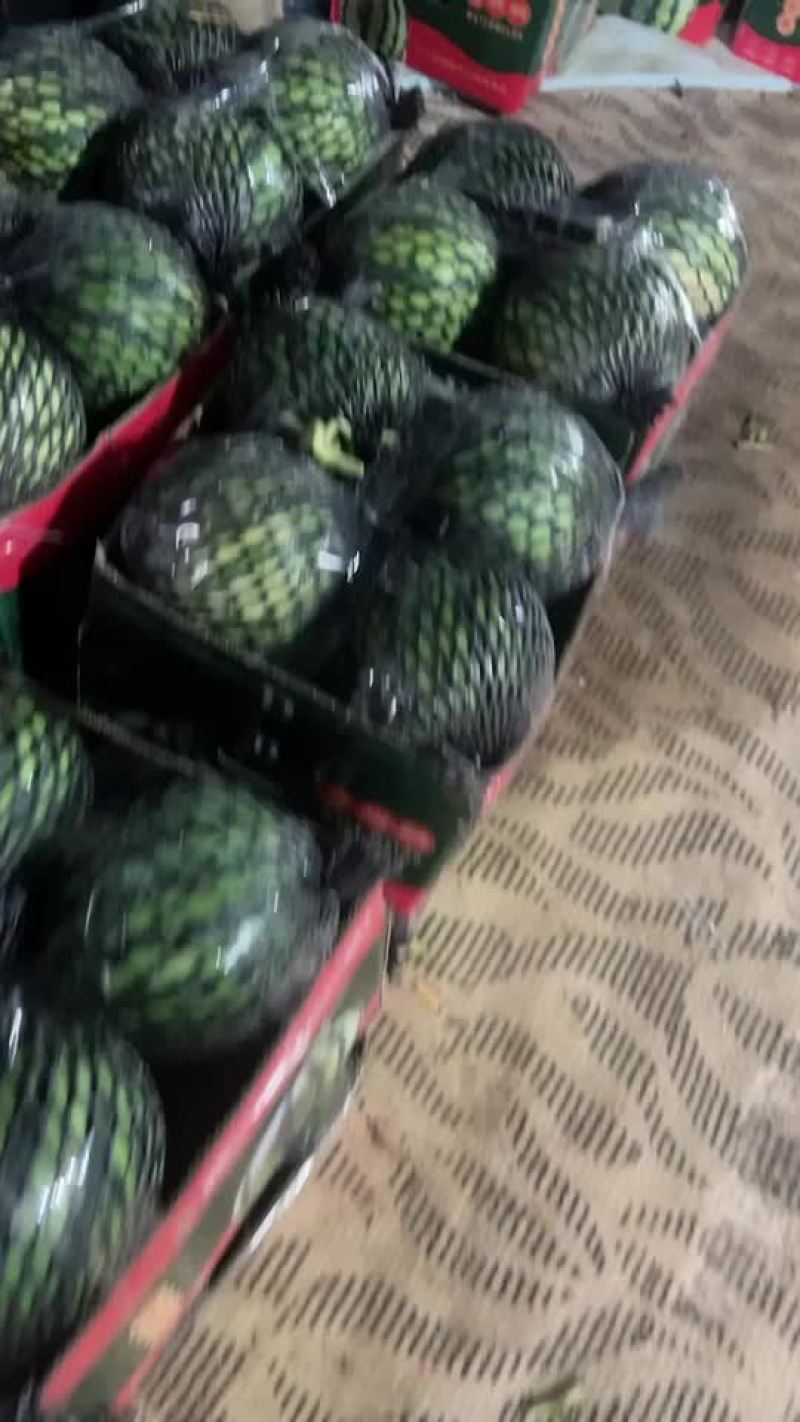 麒麟西瓜