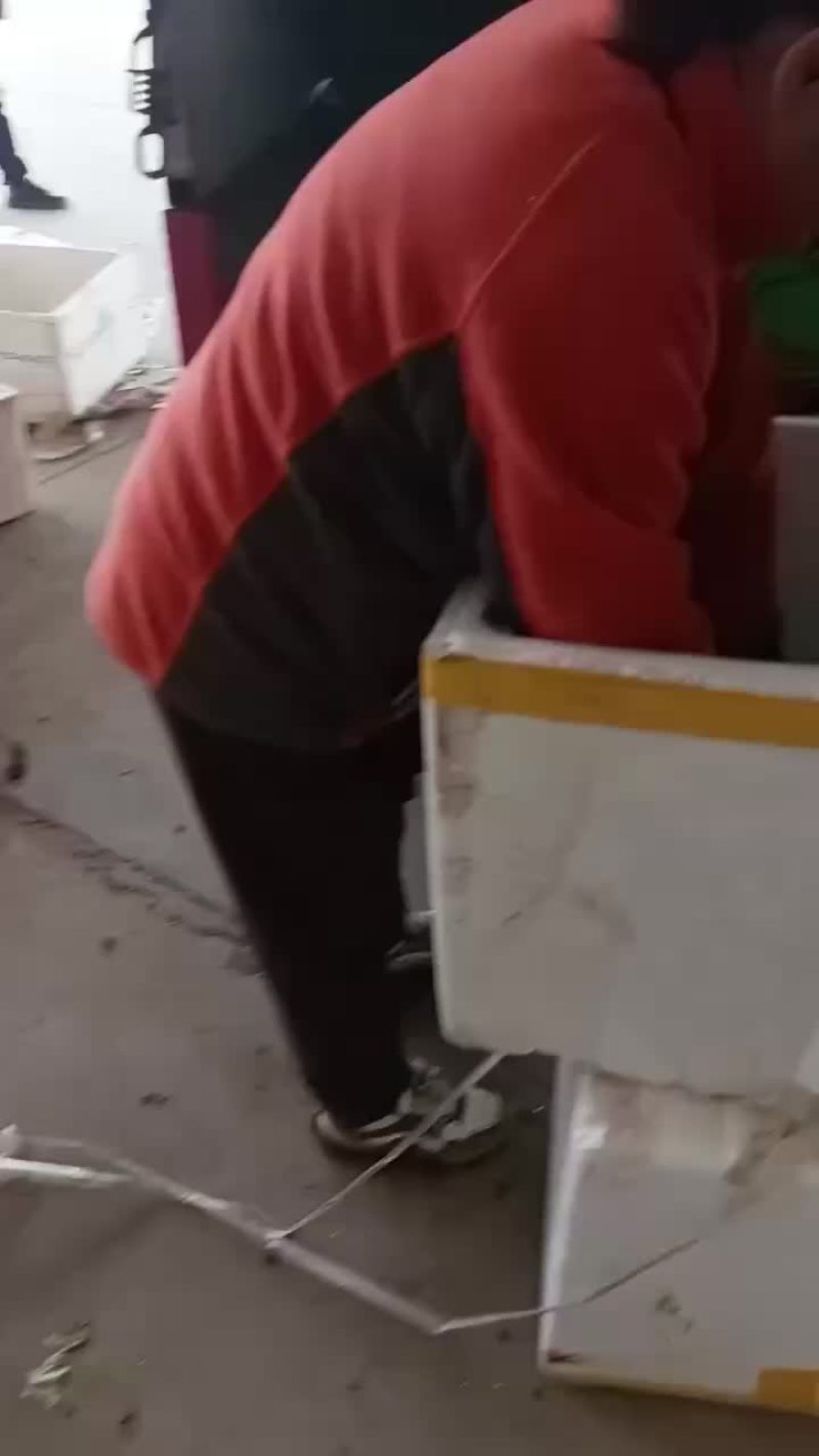 陕西生菜大量上市，需要的朋友可以联系