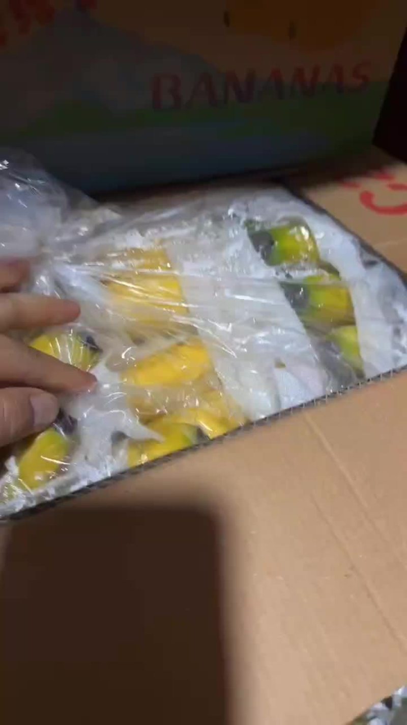 不受寒纯三把精品香蕉