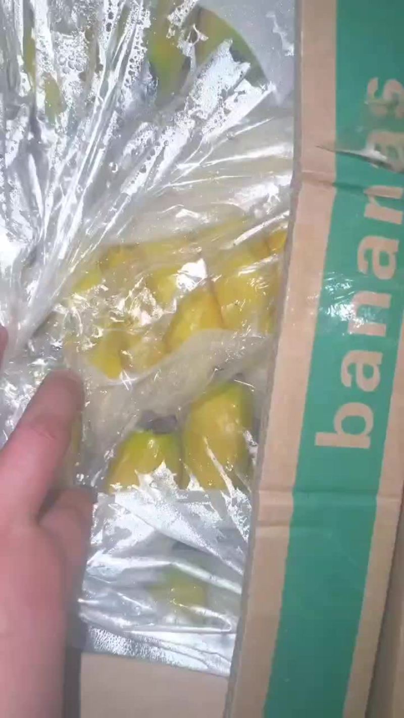 不受寒纯三把精品香蕉
