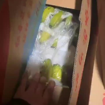 不受寒纯三把精品香蕉