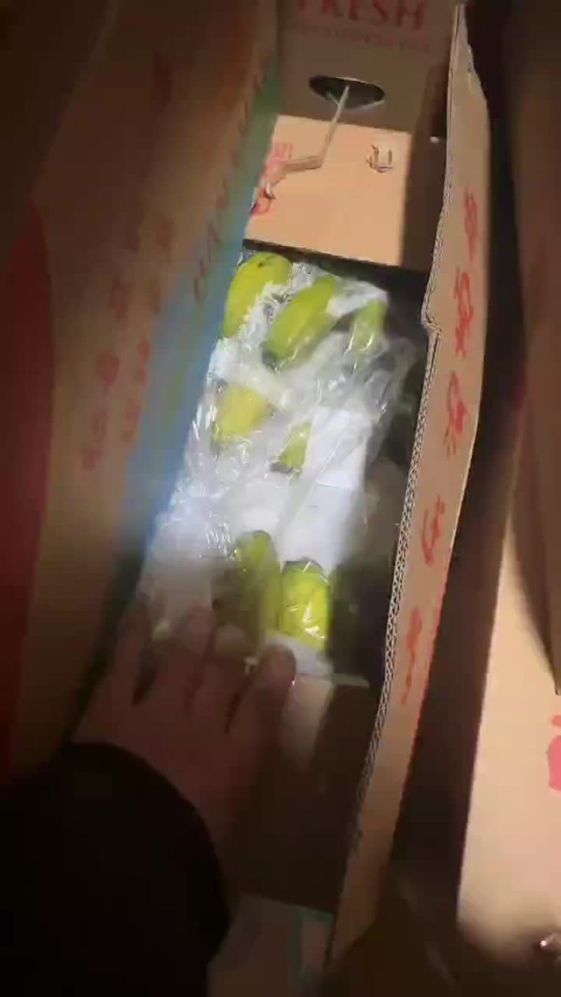 不受寒纯三把精品香蕉