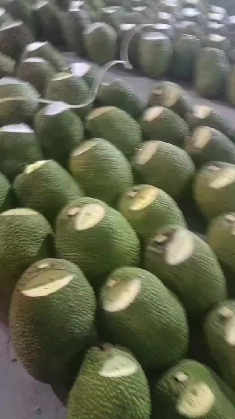 海南菠萝蜜泰八红肉，1号果产地直发
