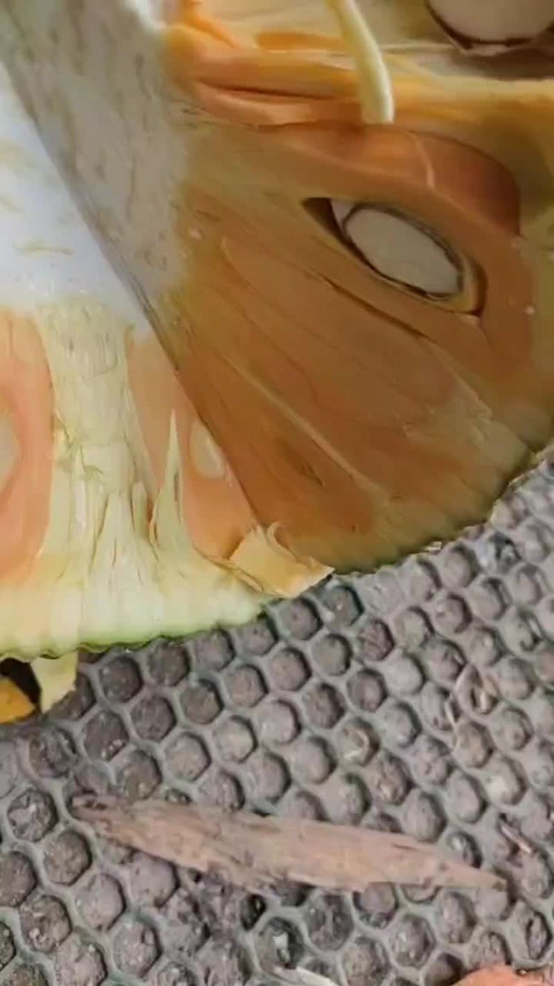 海南菠萝蜜泰八红肉，1号果产地直发
