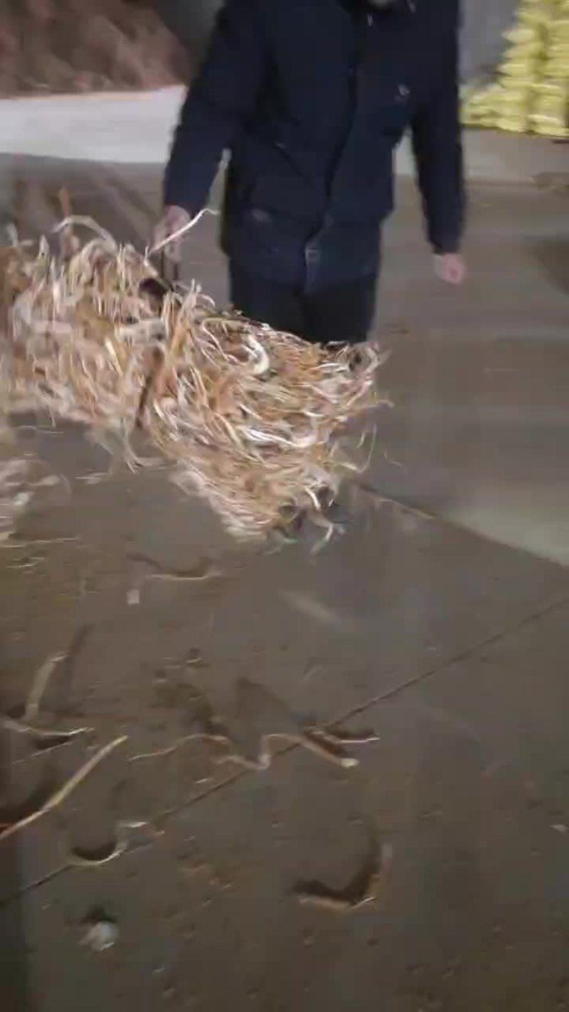 桑白皮药厂货