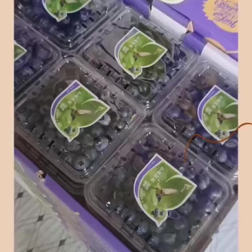 F6L25各种包装