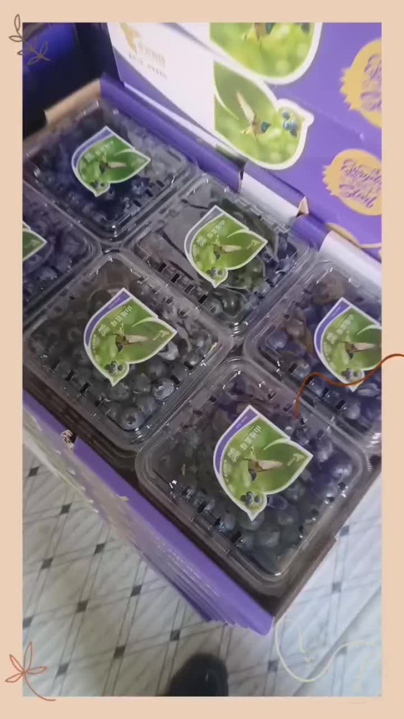 F6L25各种包装