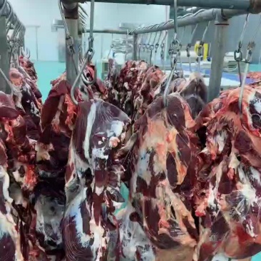 纯干鲜牛肉质量保证一手货源拒绝中间商赚差价