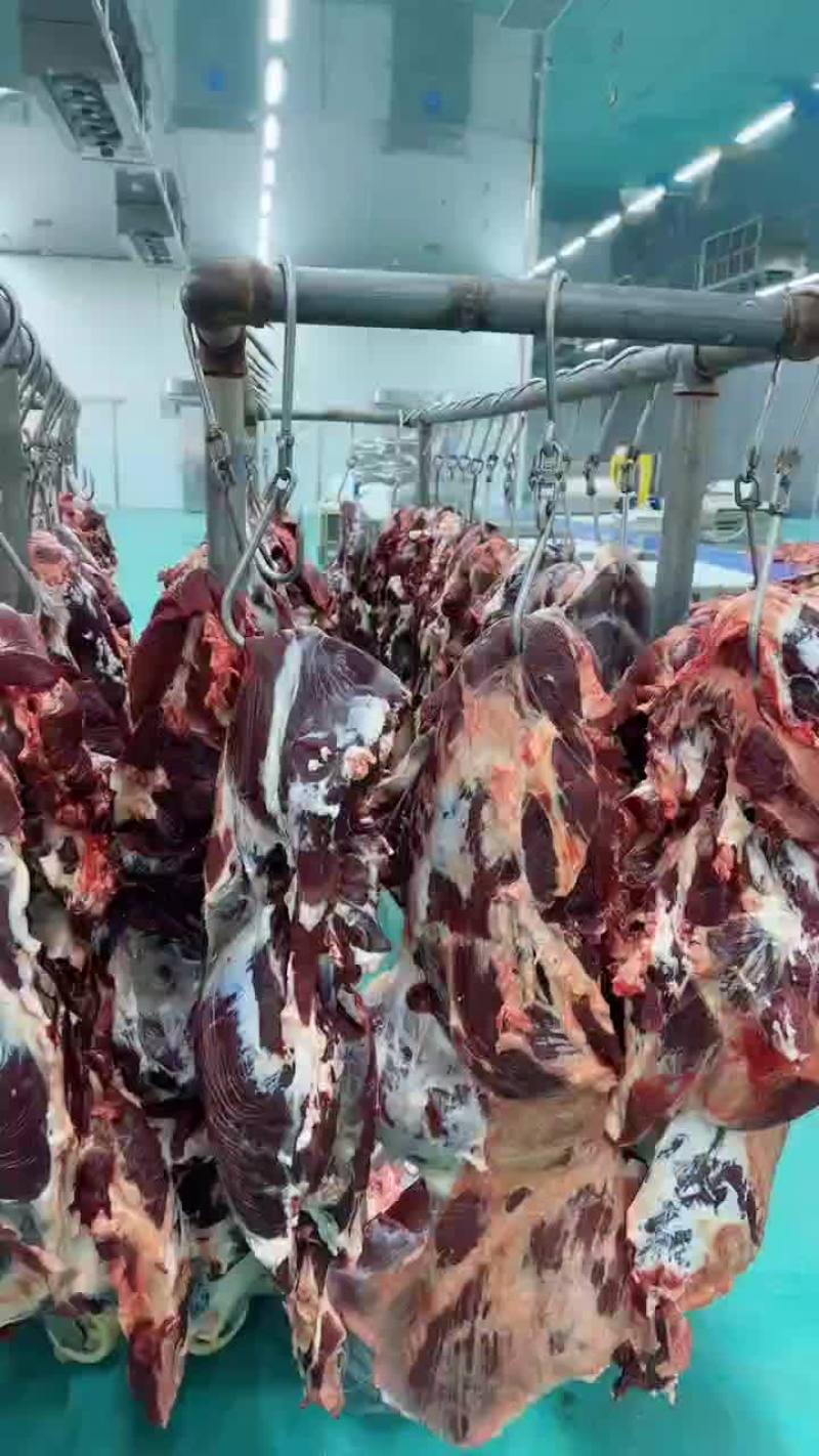 纯干鲜牛肉质量保证一手货源拒绝中间商赚差价