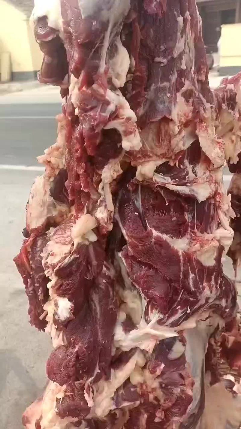 纯干鲜牛肉质量保证一手货源拒绝中间商赚差价