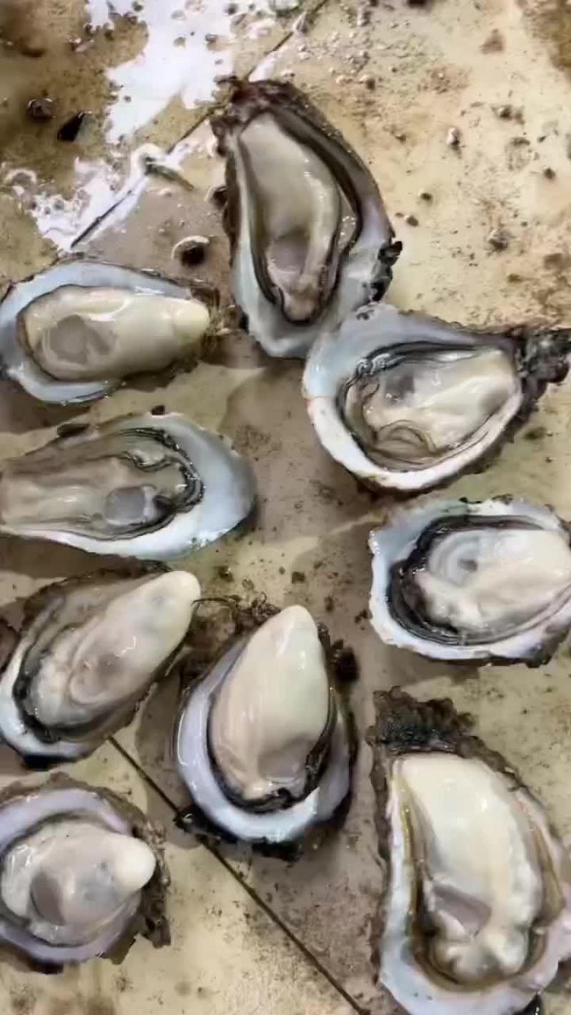 生蚝。