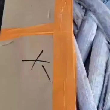 船冻大带带鱼