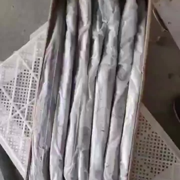 带鱼大量批发一手货源全国各地均可