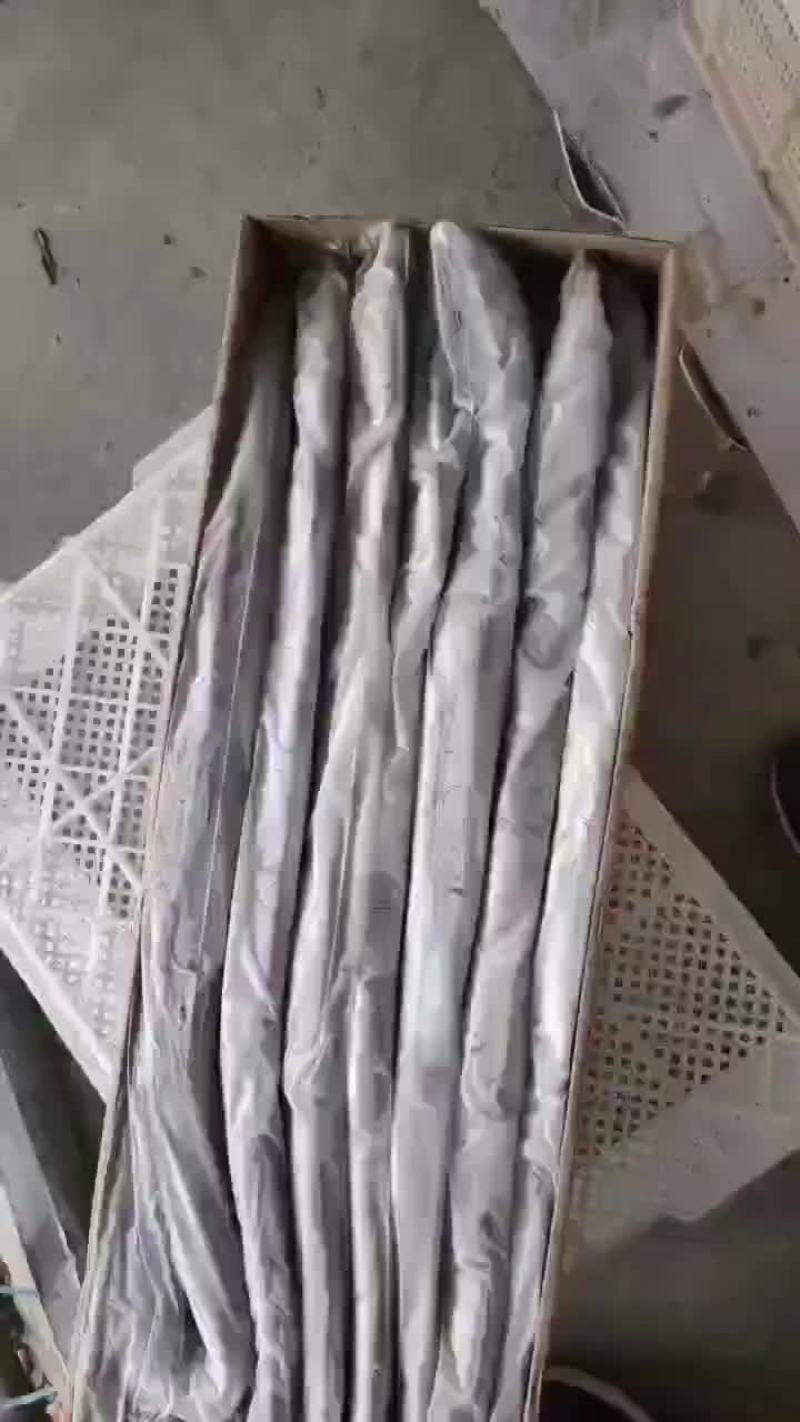 带鱼大量批发一手货源全国各地均可