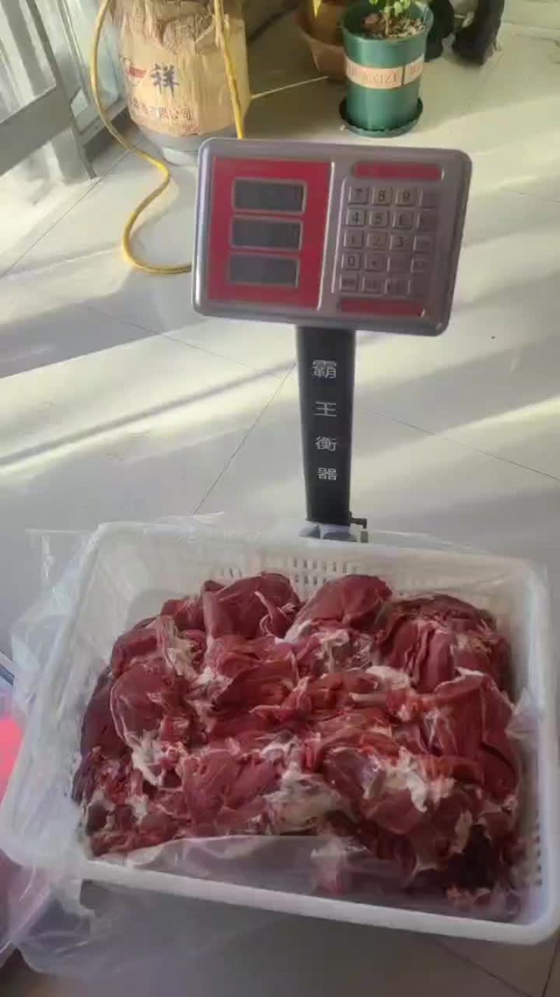 纯干无水牛肉，整头牛肉起发，质量过关厂家直发欢迎联系
