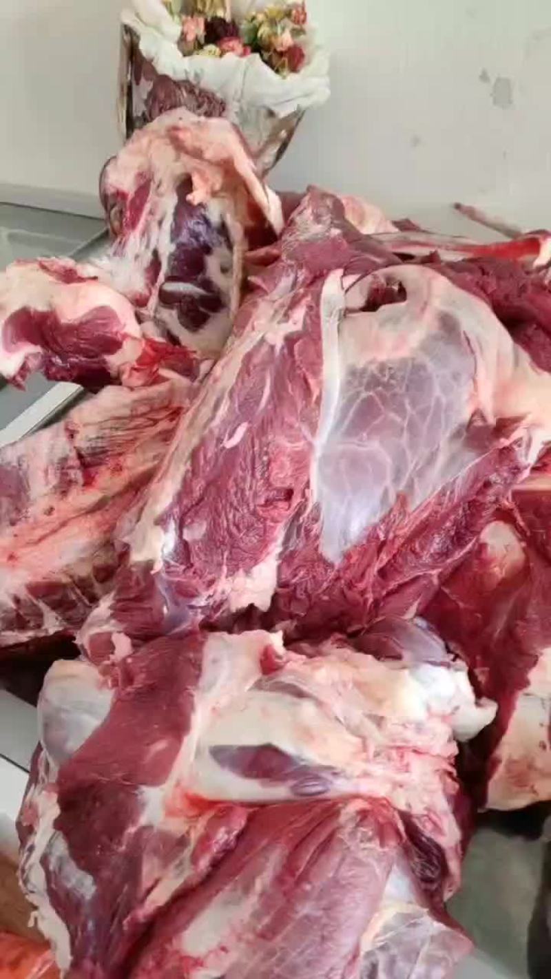 纯干无水牛肉，整头牛肉起发，质量过关厂家直发欢迎联系