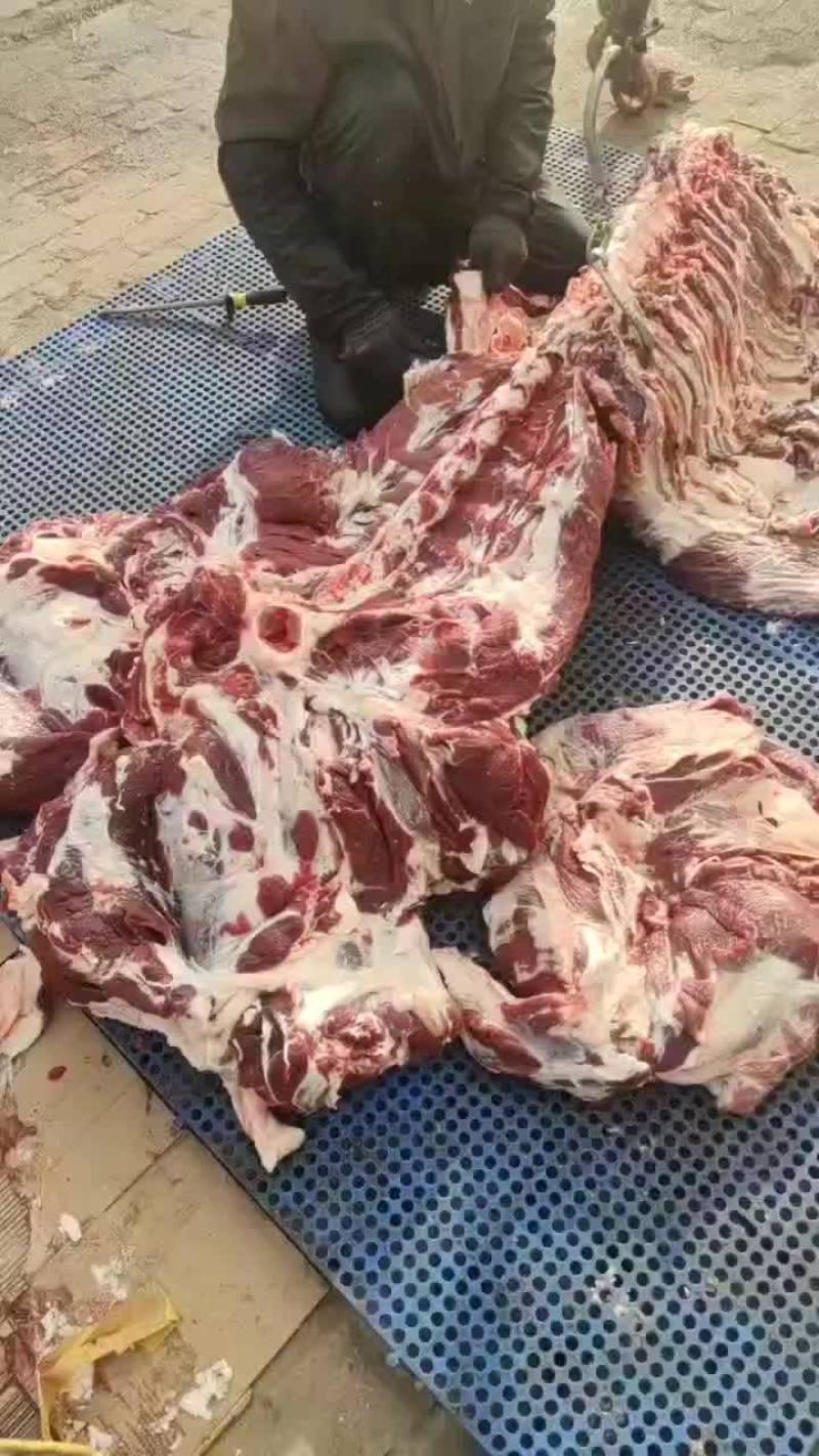 纯干无水牛肉，整头牛肉起发，质量过关厂家直发欢迎联系