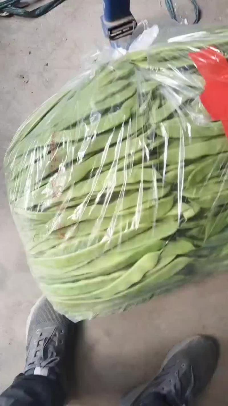 芹菜苗子，芸豆