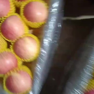 精品富士冷库大量有货，物美价廉