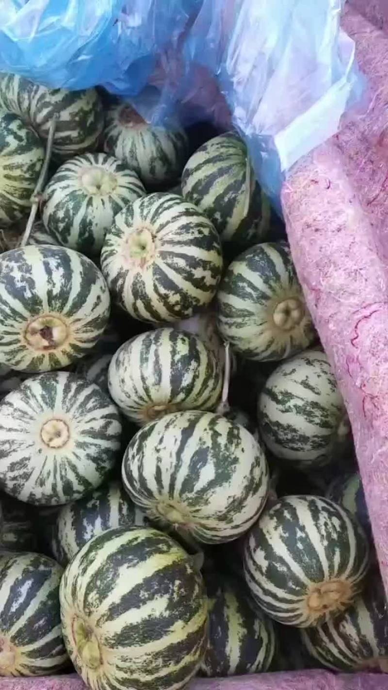 甜瓜