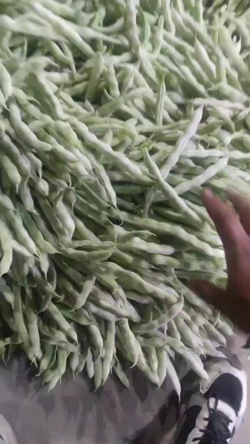 芸豆