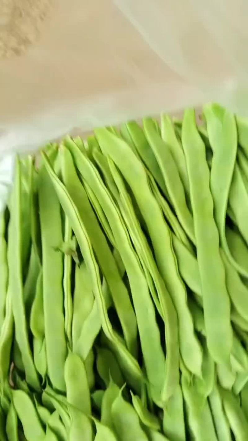 大扁芸豆