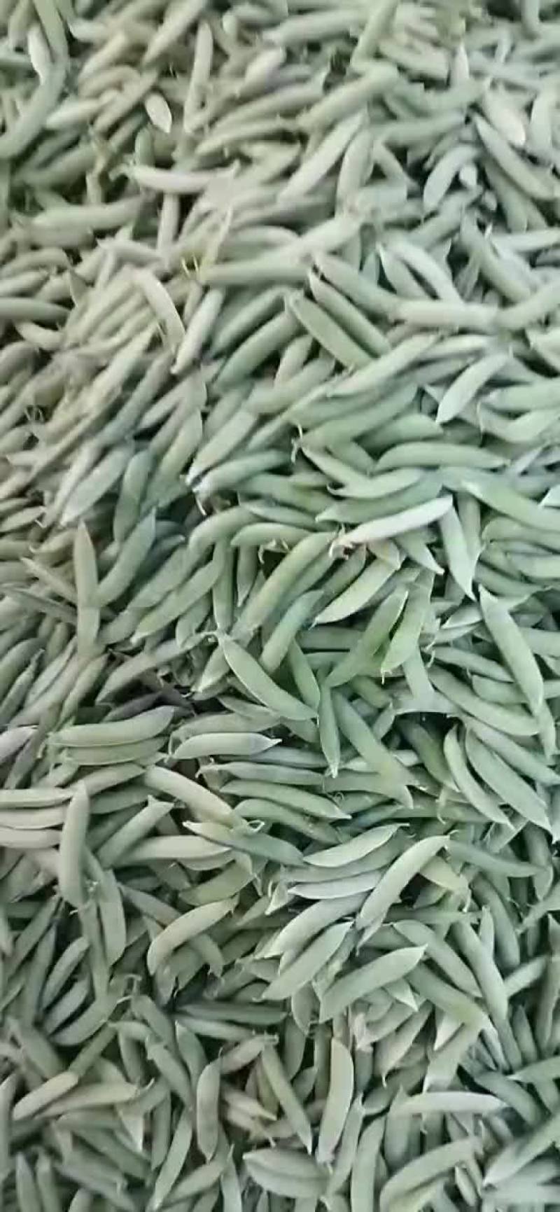 碗豆荚
