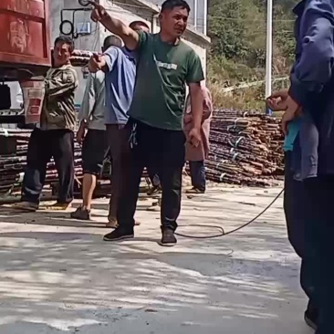 贵州甘蔗