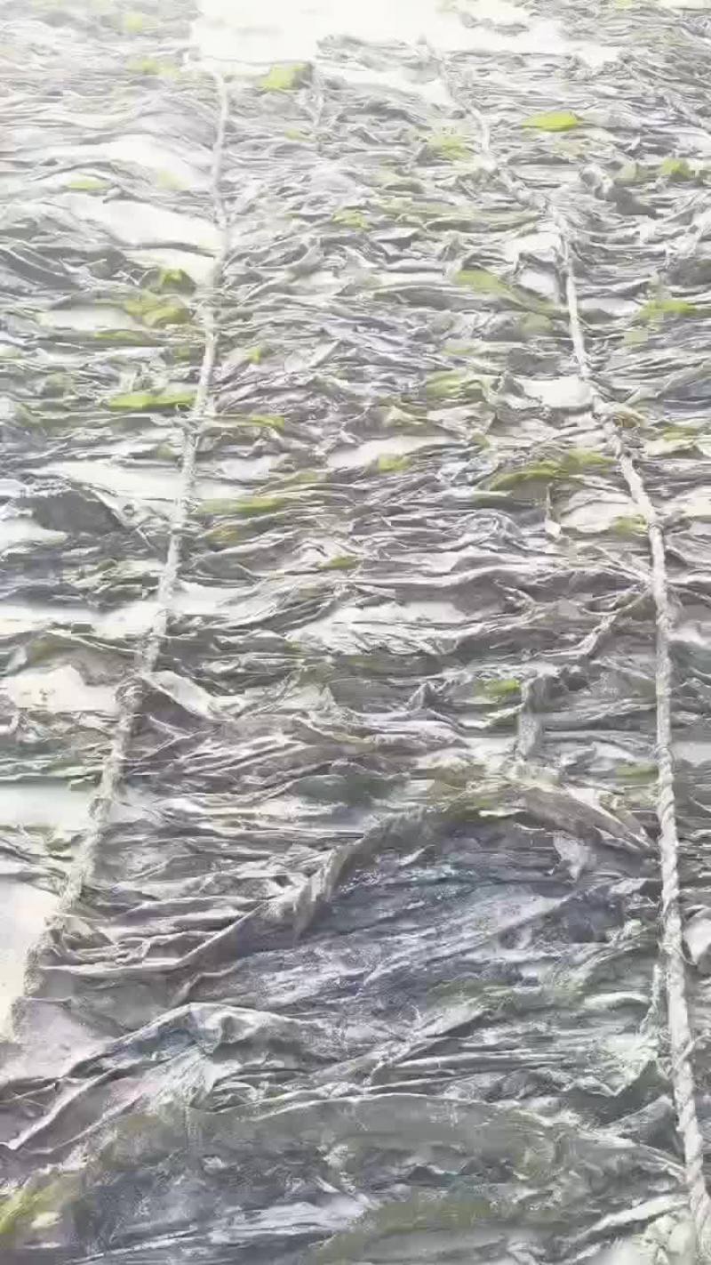 干海带，海带头海带结沙菜海带长板海带短板海带