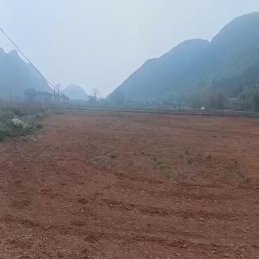水田出租