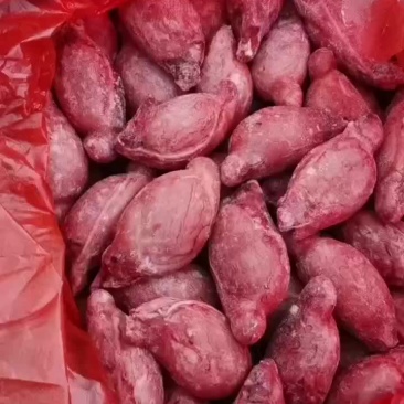 单冻纯干羊宝大小号齐全