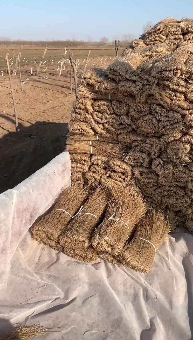 纯红薯粉条