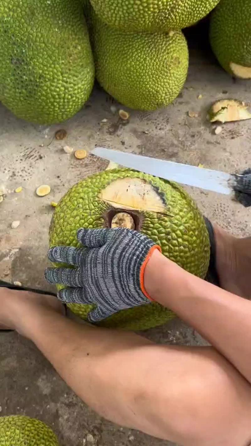 海南产地泰八菠萝蜜切好口上石灰高次果