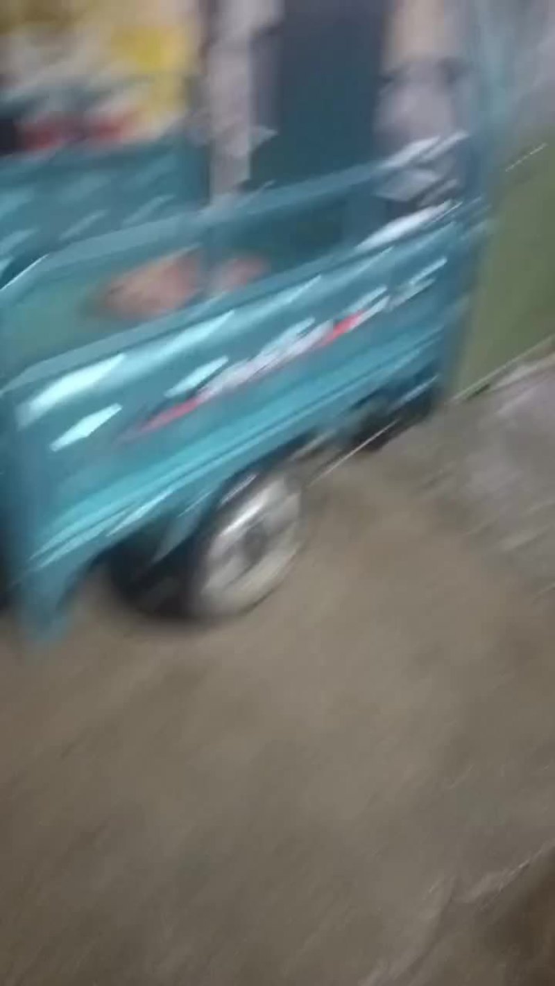 龙虾苗大量上市