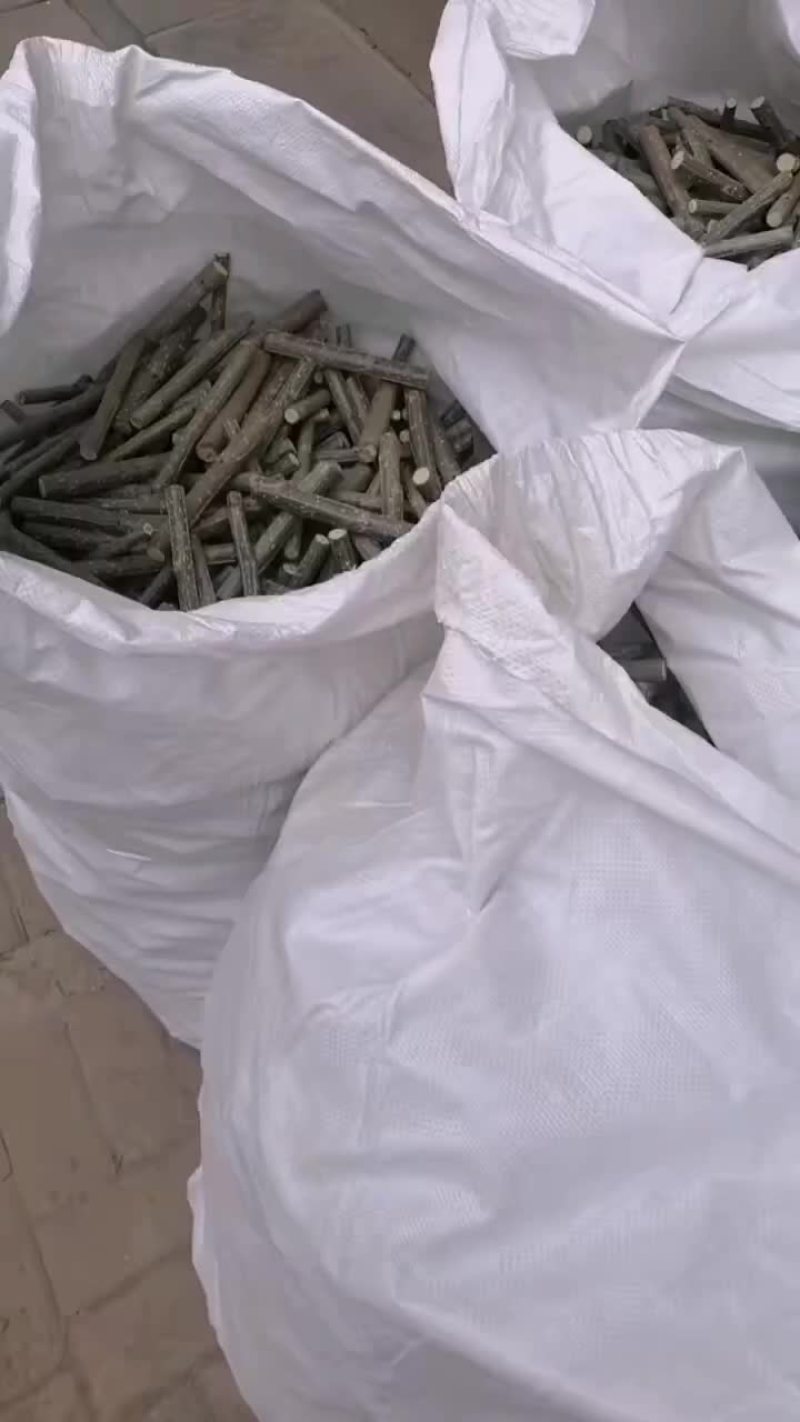 107速生杨仟插段