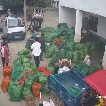 大量出货货多从优各位老板可以联系我