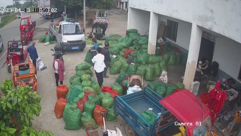 大量出货货多从优各位老板可以联系我